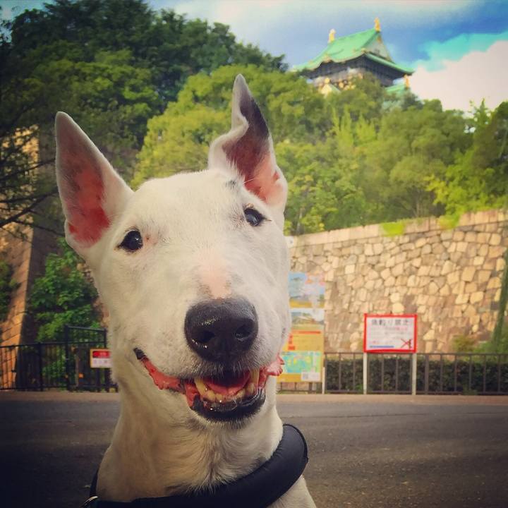 38f4b548 faf3 421c 8c86 479151d762b1