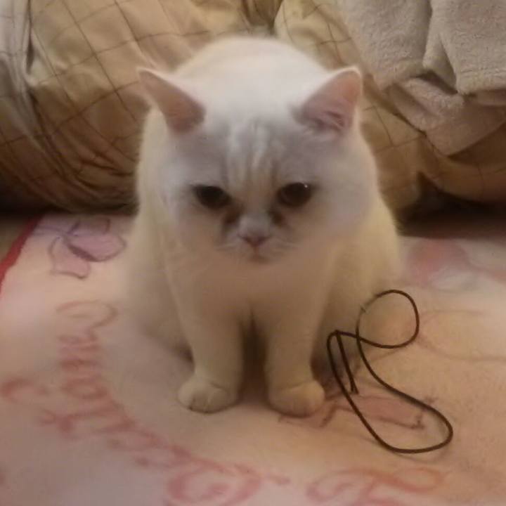 38f55891 abd1 4d4b bfd9 8313c1001da9