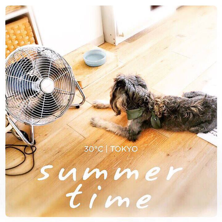 38f59dca e15d 4ee0 ba75 fd1ccdc138ee