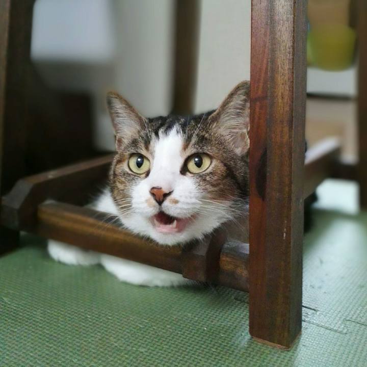 38f61471 498d 4422 bb68 7f21456fd163