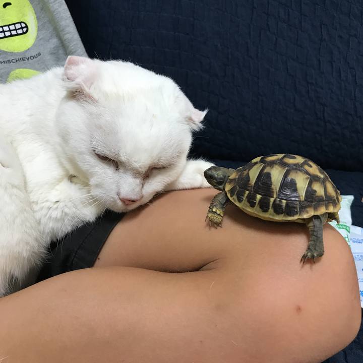 38f6397f 0686 477a b7f6 9e64bc375e64