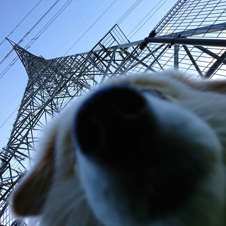 38f63dcb 82d8 4764 8b77 d9e82fc0fb7c