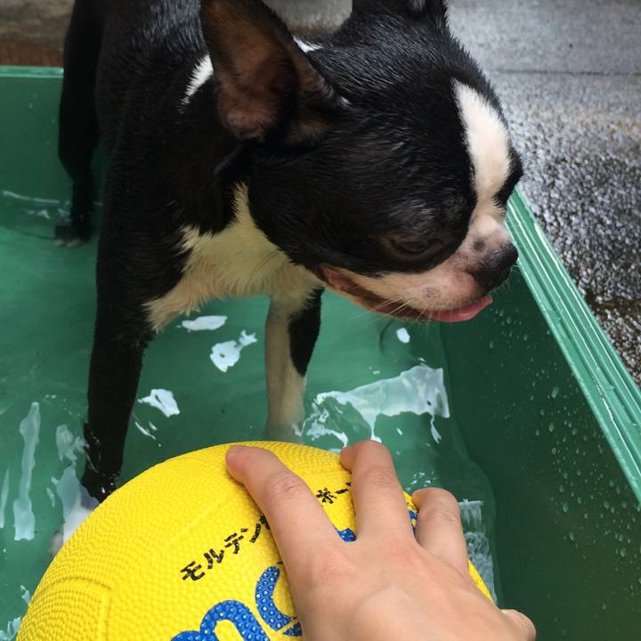 38f6784b f96d 43d2 ab0d 9c0a5f718d35