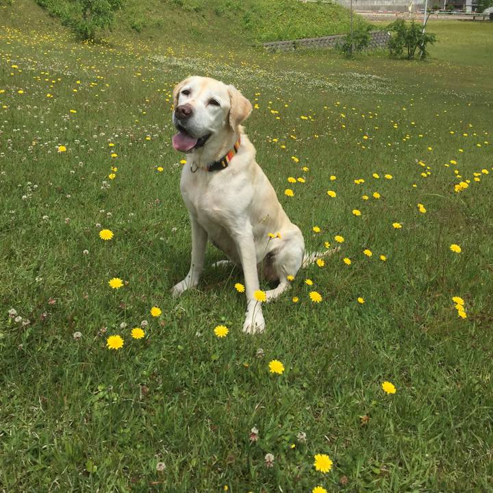 38f6840a 39a9 46a6 97d7 4e88f40d8238