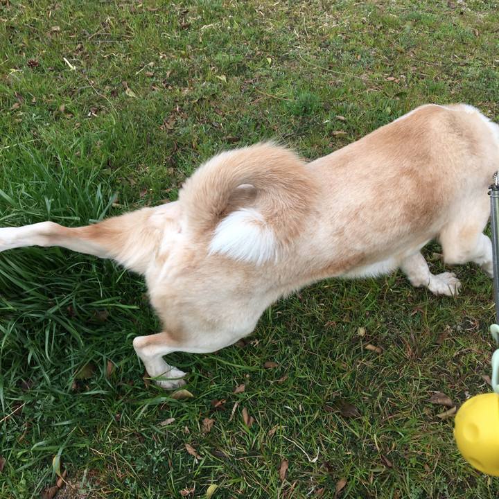 38f6a38d 9b54 4ffb b771 7e8e35fbeddf