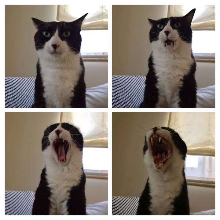 38f752b8 f782 4a8f 9dd1 87ea3a84d209