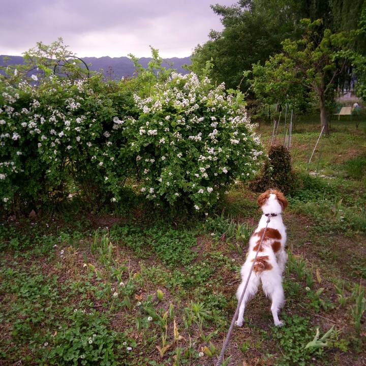 38f77ee1 4957 4523 a165 bf4d338e0339