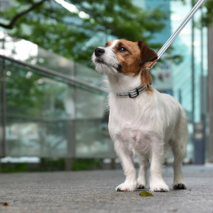 38f79ca6 5e8f 45dd 9c5f a671fe7d70ec