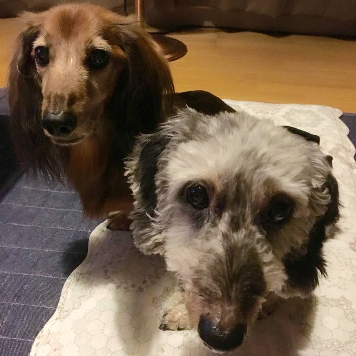 38f873e9 f8c6 4db8 a3a0 b2466898cedd