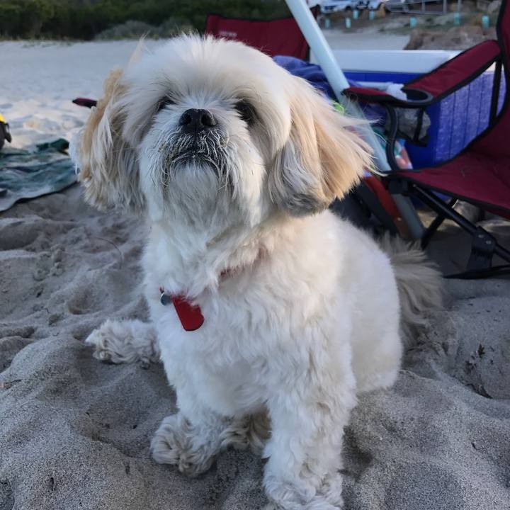 38f8a253 620f 4dbd 8e20 ef994a8b1e37