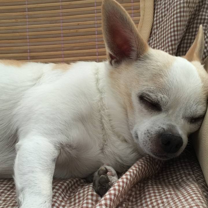 38f95efb c5b0 4166 b326 af6b4e43bf59