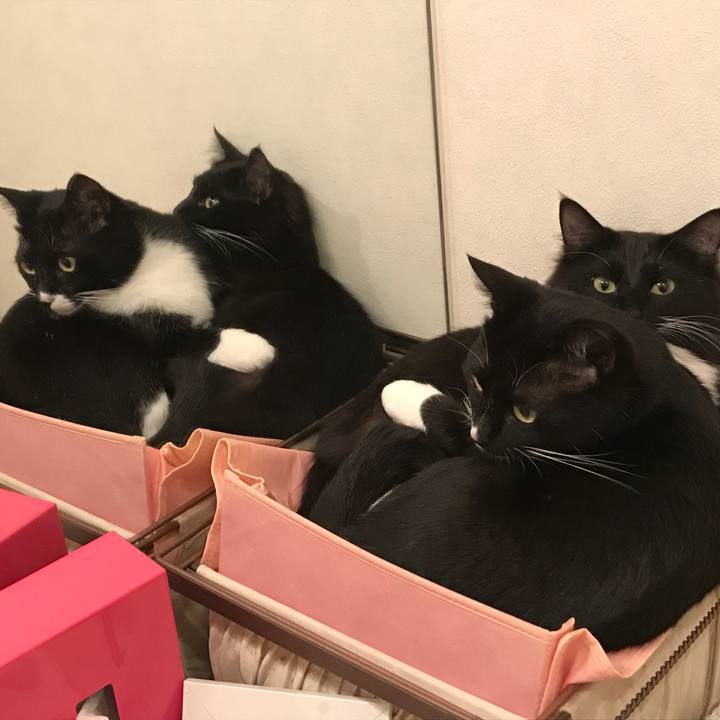 38f98fb8 1299 4b7c bb28 a98d2555da58