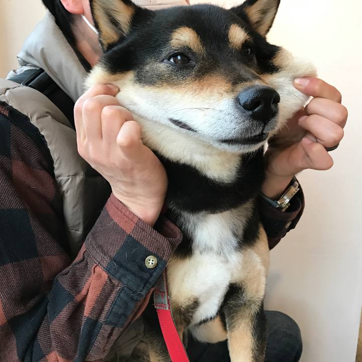 38fa1eaa 7ea3 4e33 8207 1d1203261295