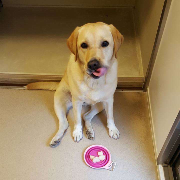 38fb49f5 6440 4b02 b5a5 701cd9c17141