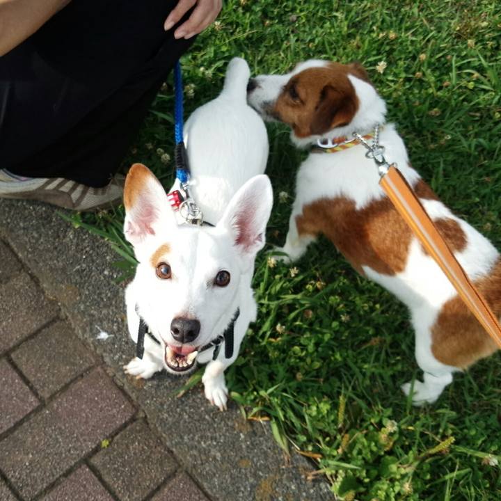 38fbb781 1506 4cdf aec3 55bd7d70b097