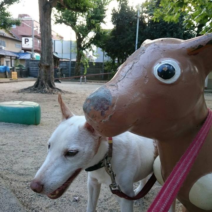 38fbba60 8e4a 408e 92a6 3f4d3f6a22eb