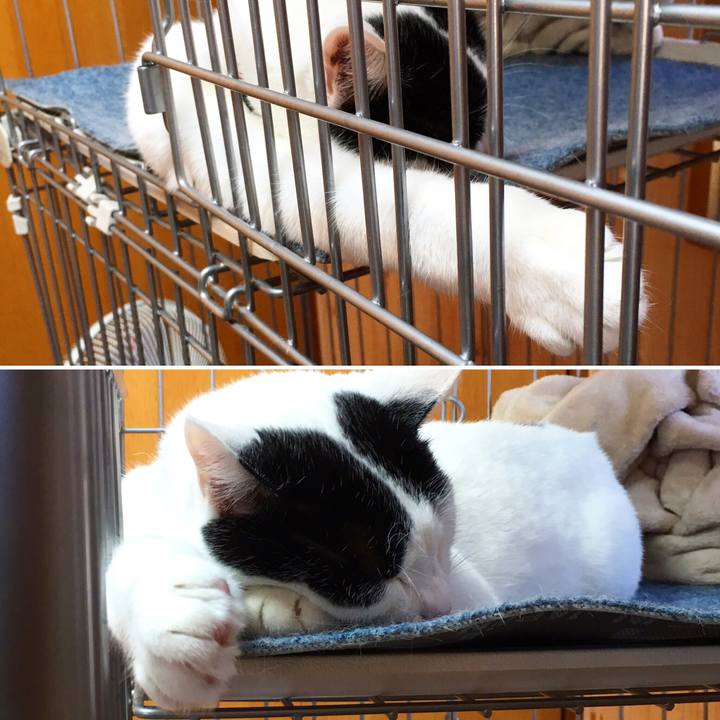 38fbc724 bae1 408c a516 01692c5e447c