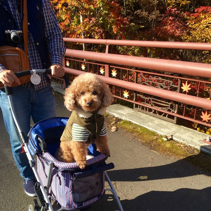 38fc56e1 ae45 4a27 a5d5 0f75a78b20a1