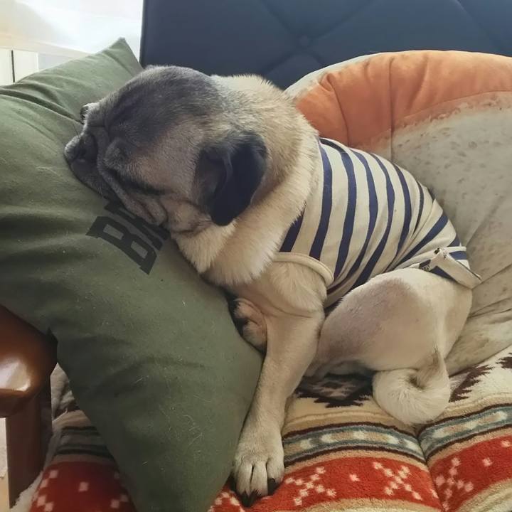 38fce36e fcc3 4ea1 bfd0 2beac46c981b