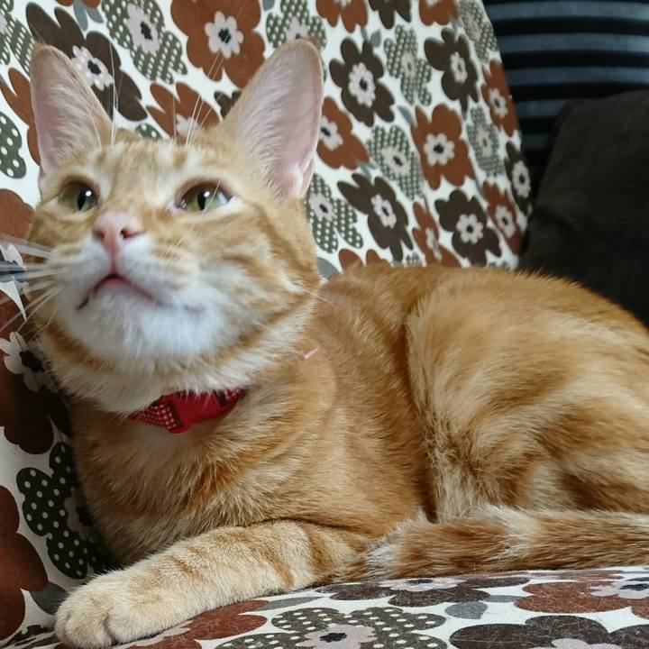 38fd0ecc 3233 4937 8ed7 488eb1e38e5a