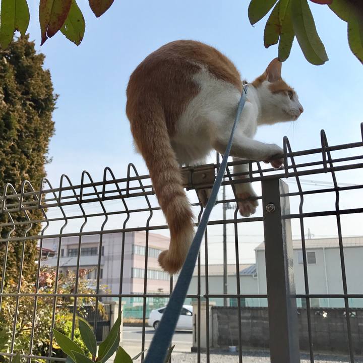 38fd1026 7315 49fb 9396 f36813133cd4