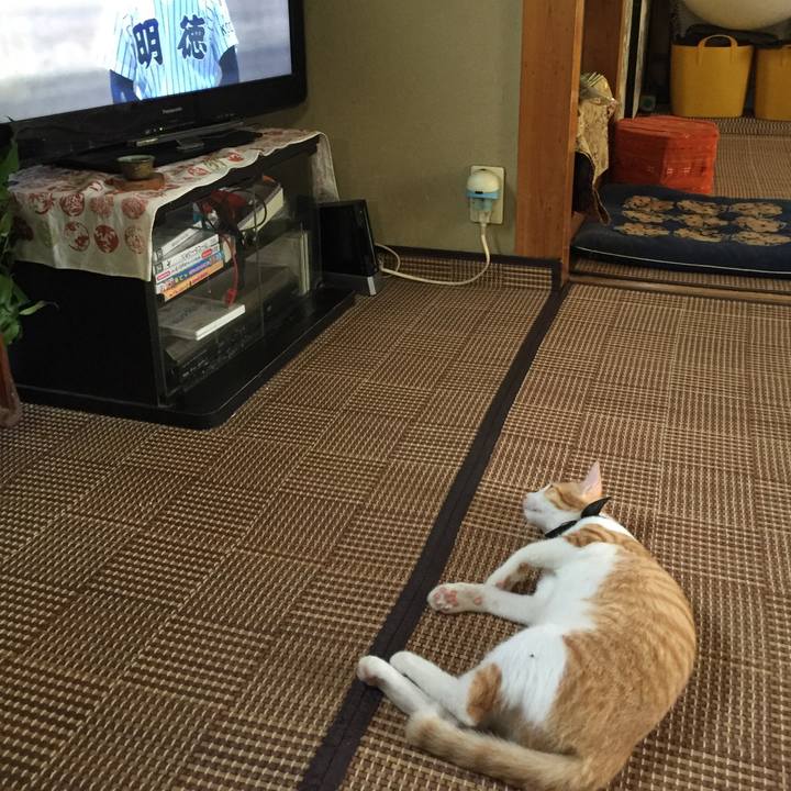 38fd7380 cf9c 4f83 b889 09da89b5941e