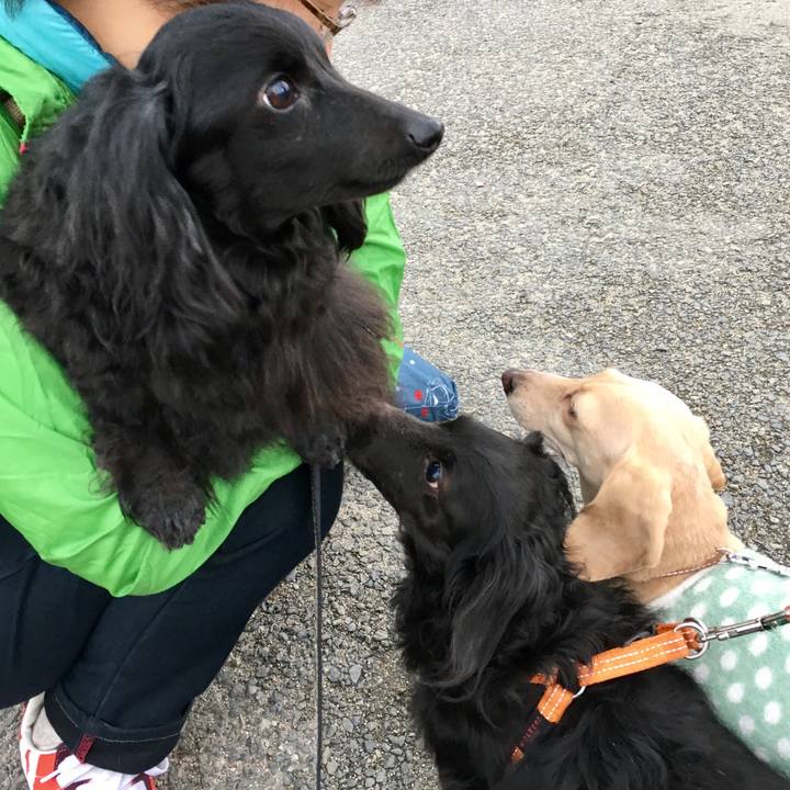 38fe3528 8ce1 4597 add7 e3c94e59f052