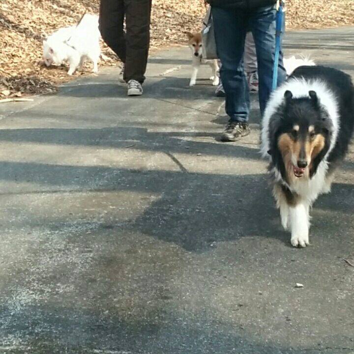 38fee9c9 793a 4282 87de 7aa3cb861b94