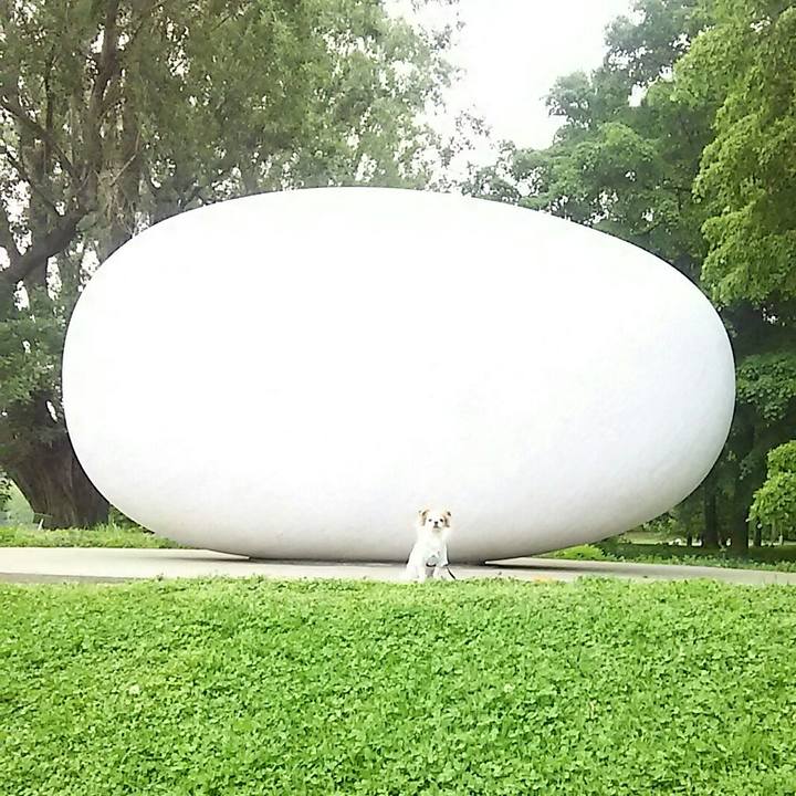 38ffd54d 0b07 4381 84e4 7bf6aa4b34e1