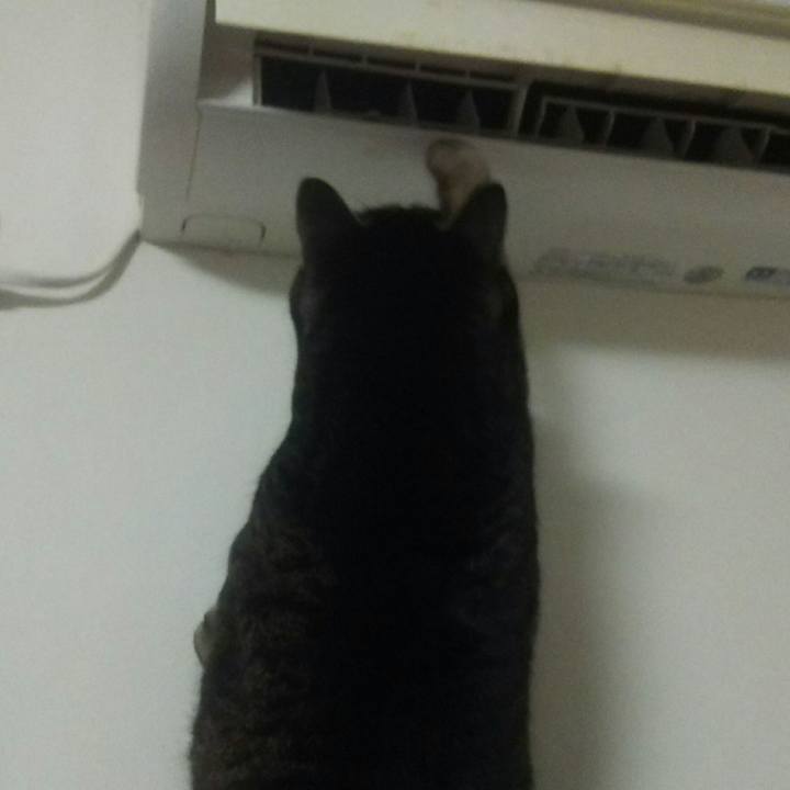 3900dbb7 987c 4aa5 9314 6f729fc51e39