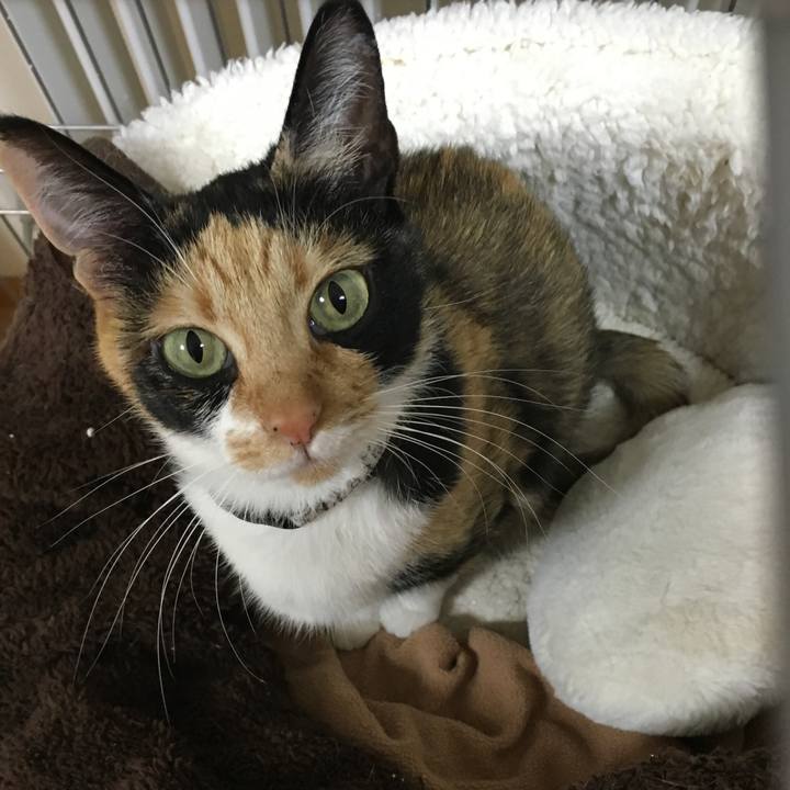 3900fc59 378a 442e 9041 1404fa0250a4