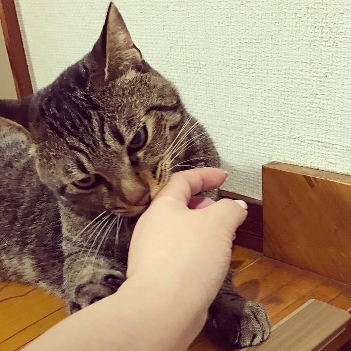 390161ad 2b55 49b2 a261 0daf84342c4e