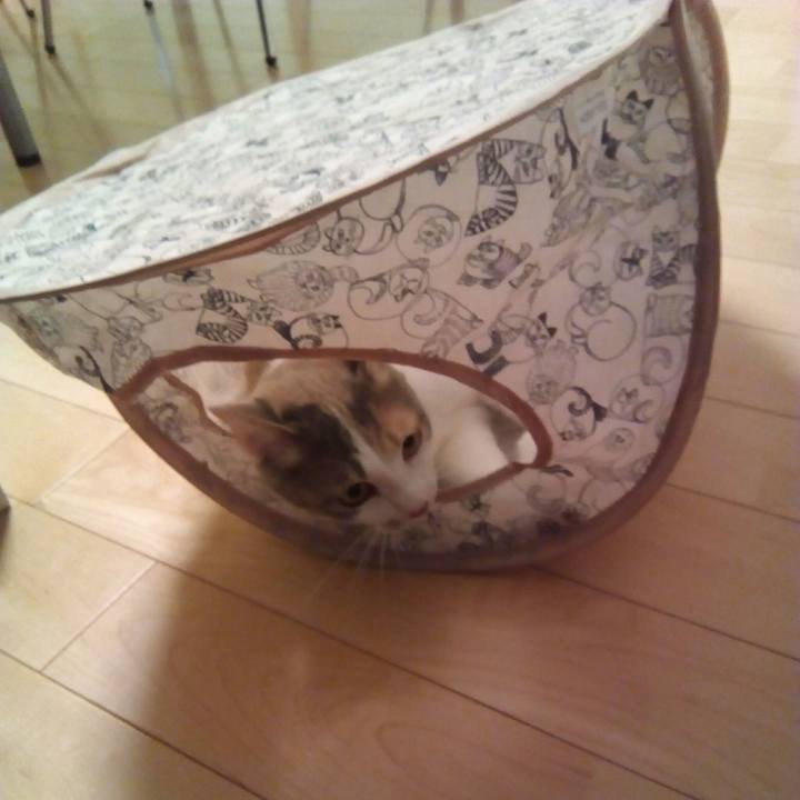 390184c3 3bd3 43ff a714 fe5460ca162d