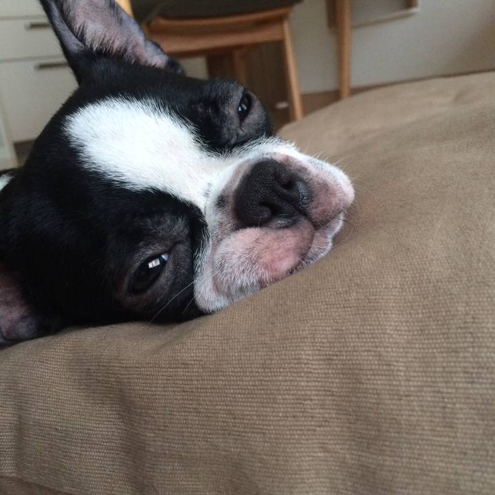 3902206a 1315 423e aacb 6f4043dee536