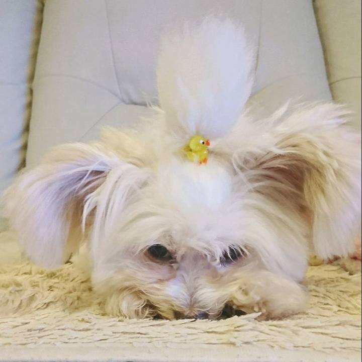 39037b40 368f 47a9 9695 35b952bbc40d