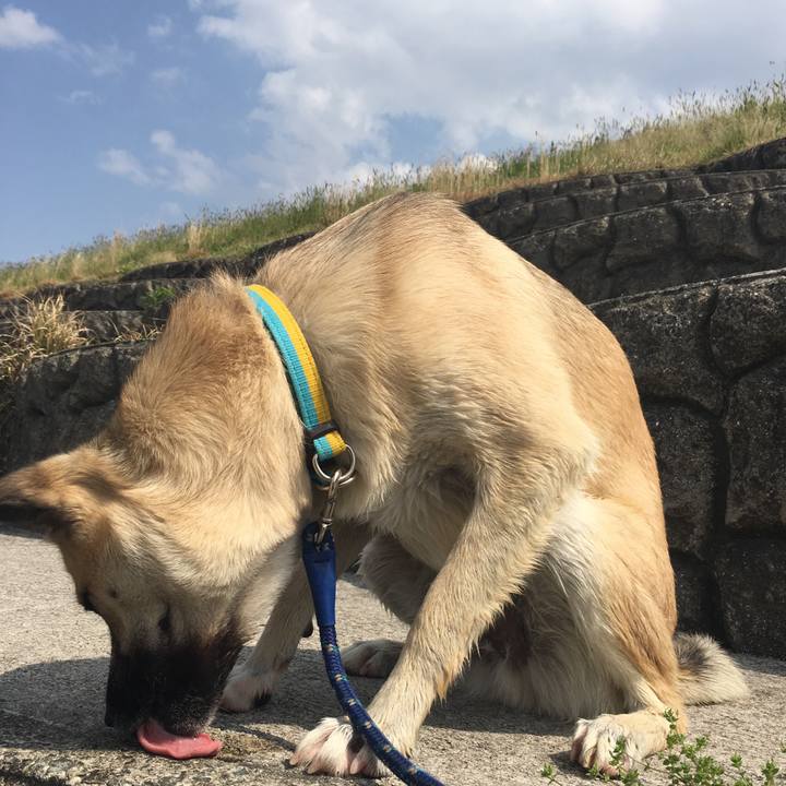 3903a104 454e 4d37 a5cf 4cbdcd63264b