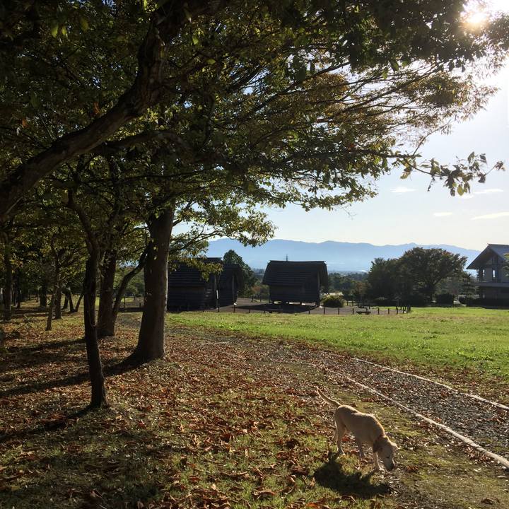 39043200 20b1 4ad3 a1e7 23a5e212fb8f