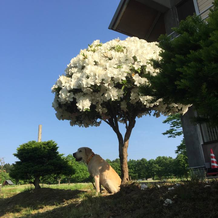 390477c4 c8cd 4e35 9767 081a0a7a1a04