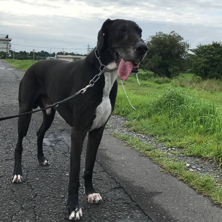 39059e0a a520 47b2 86c4 2fec25014a74