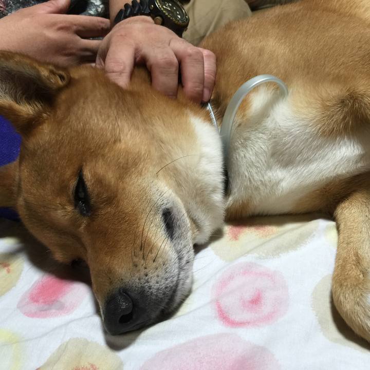 390627a3 9d9a 449a b9f6 c76ba8d0d286