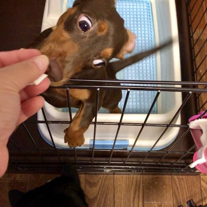 39069c3d 9b9b 4096 8d5b 8e8a206b8c18