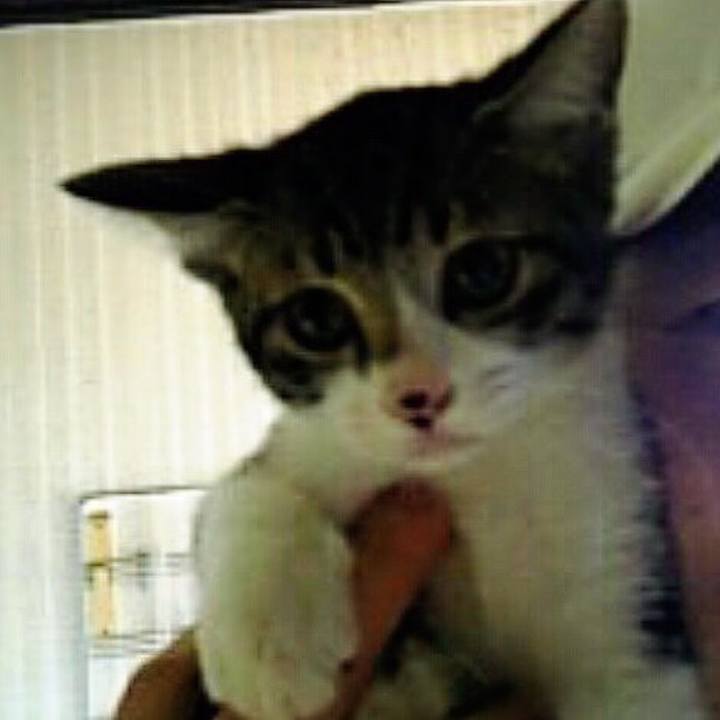 3906c765 1c15 494a 8aa8 9e2b1b305c61