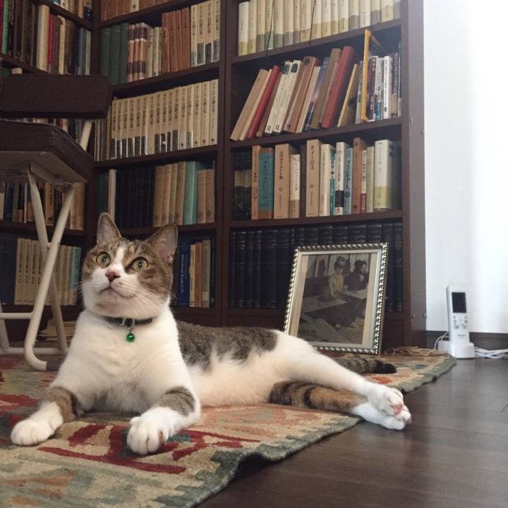 3906f984 a009 47d5 ae50 b81c376d853e