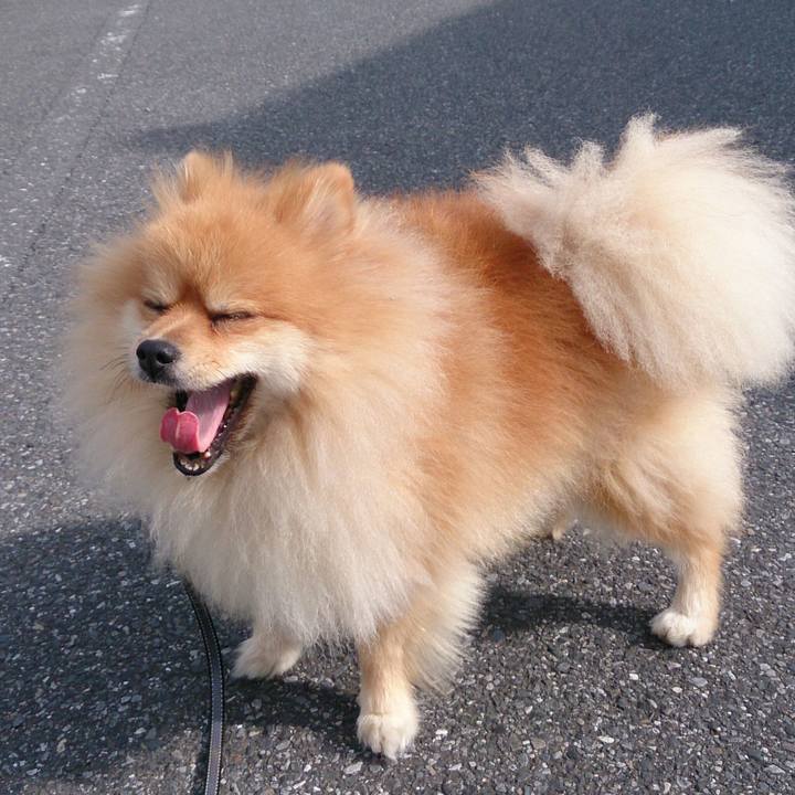 390720ed 4ee3 4a72 bfbf 01697a121f6b