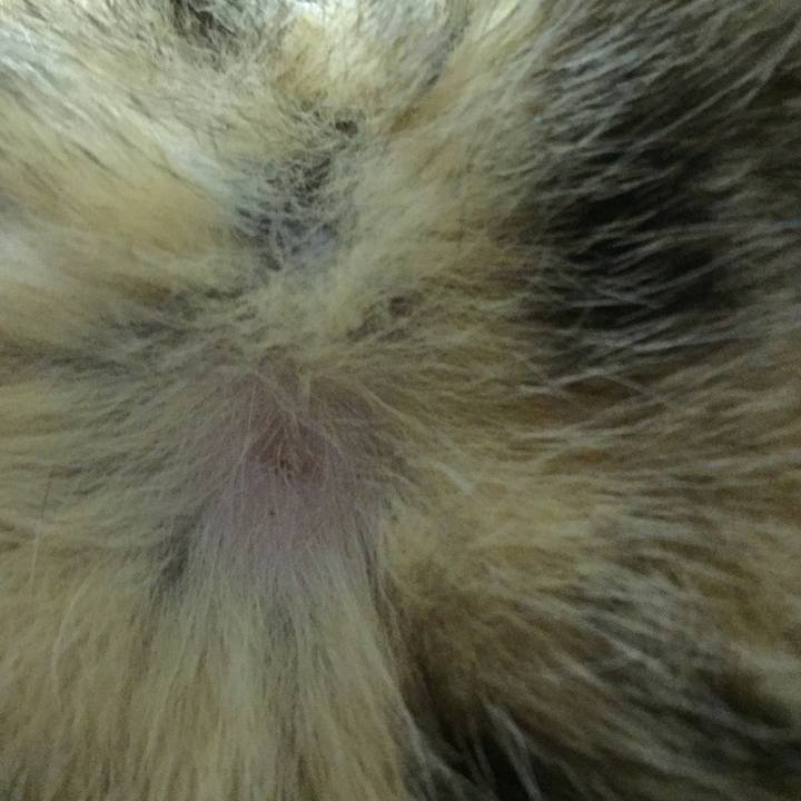 39081610 8eba 418c ba38 d37397874881