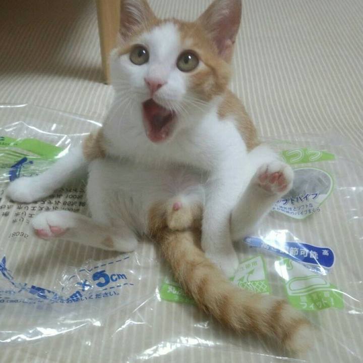 390836e9 ec39 4db4 8fd3 388d7f14a580