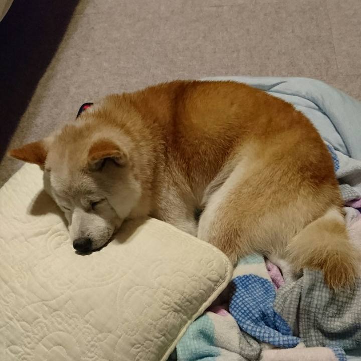 3908a372 25e0 4f89 9b4b c771895e7170