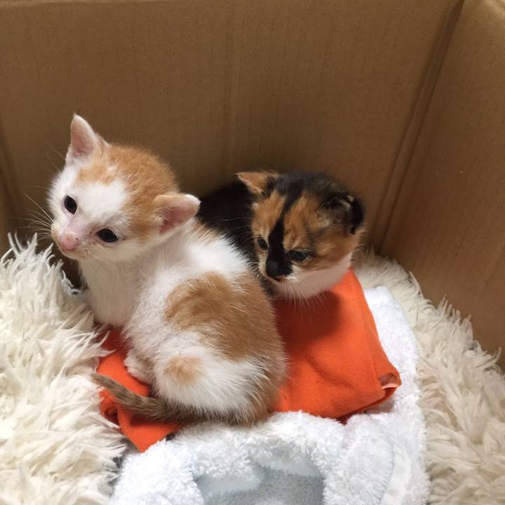 3908f425 f336 4f3e a33a 78f6ade94a69