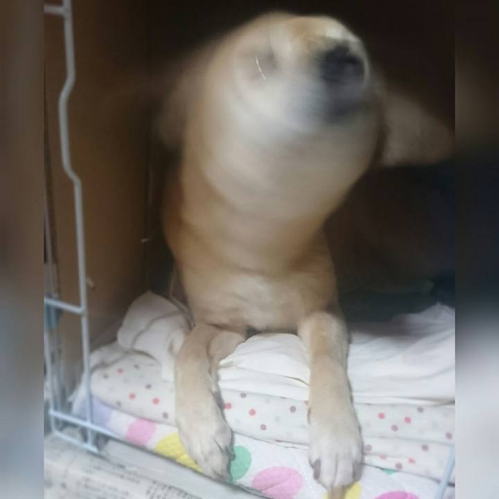 39091222 dd74 41c9 b71c 9ef746a46b87