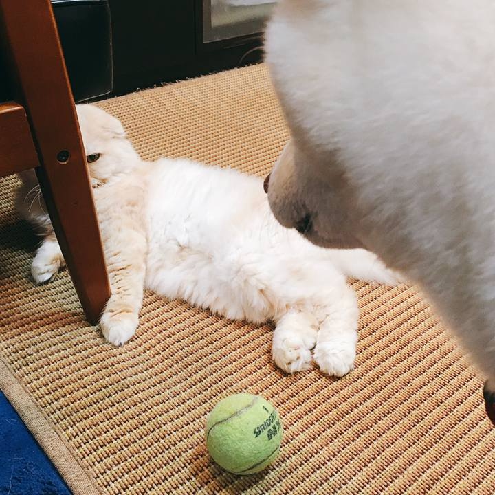 39091f84 d2cd 4be9 be85 cac00daf2c07